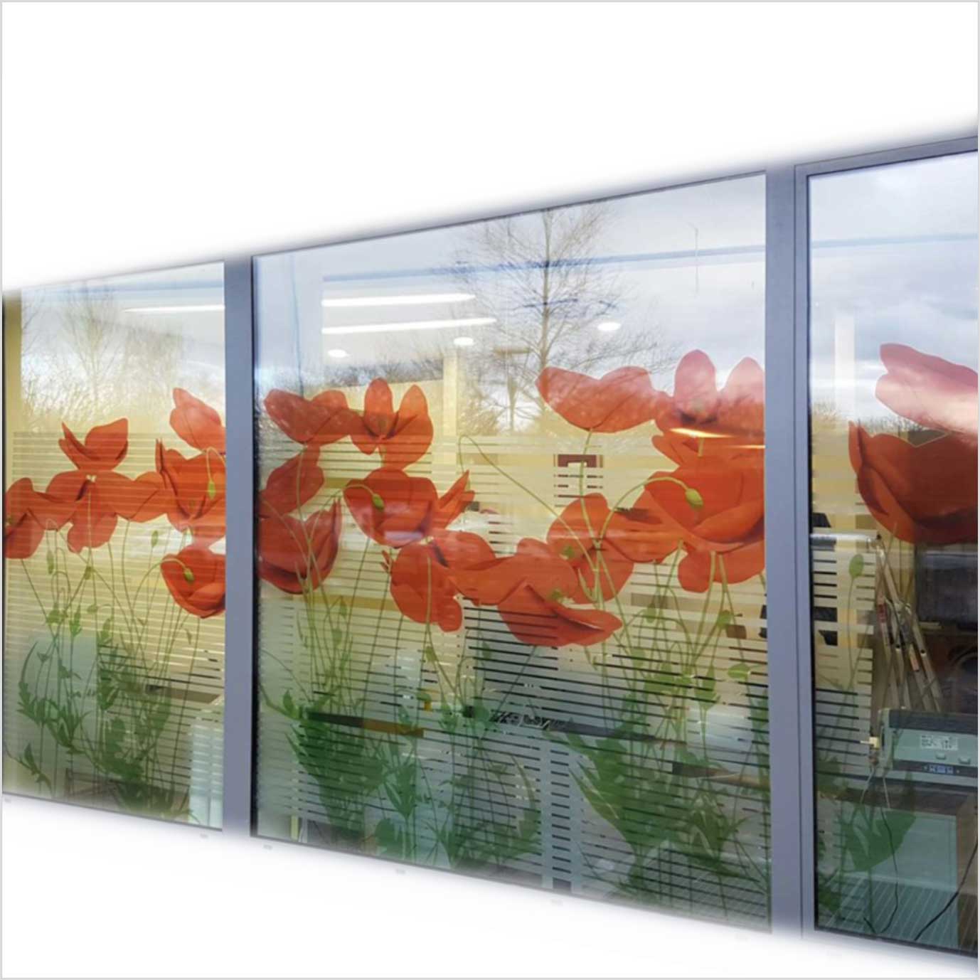 طباعة الملصقات الشفافة طباعة الملصقات الشفافة